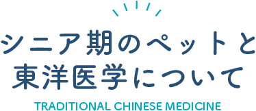 シニア期のペットと東洋医学について